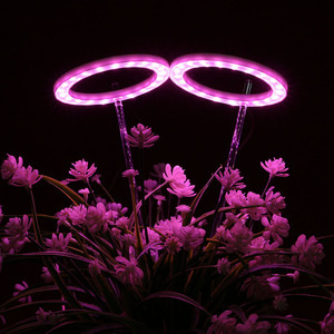엔젤링 화분 LED 식물등(2헤드) (핑크) 식물성장 생장