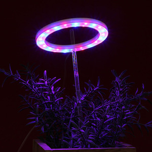 엔젤링 화분 LED 식물등(헤드형) (레드+블루) 생장등