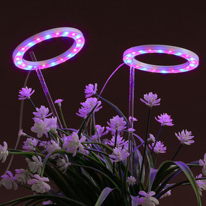 엔젤링 화분 LED 식물등(2헤드) (레드+블루) 식물조명
